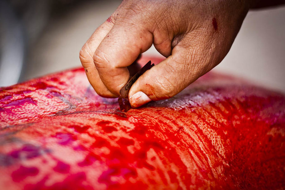 Cutting a man's back with a razor blade