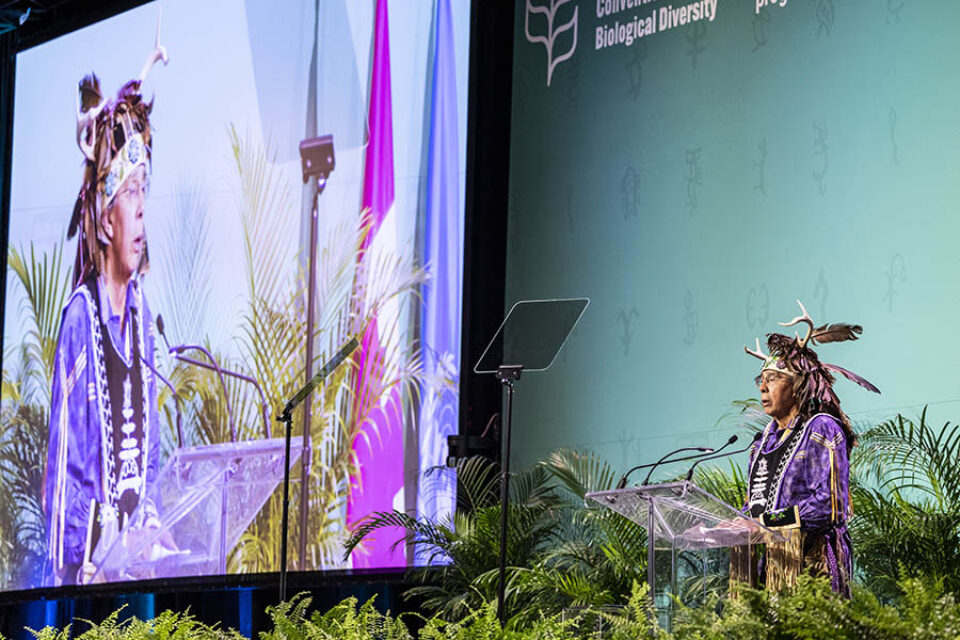 Indigenous speaker at COP15 Montreal