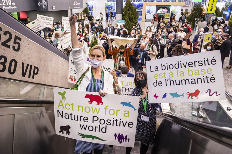 Protest, COP15 Montreal