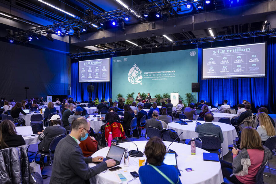 Audience watch panelists at COP15 Montreal