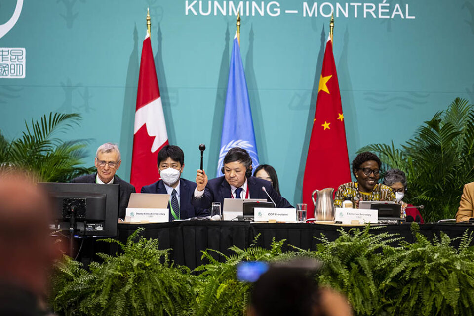 Ratifying part of COP15 biodiversity agreement